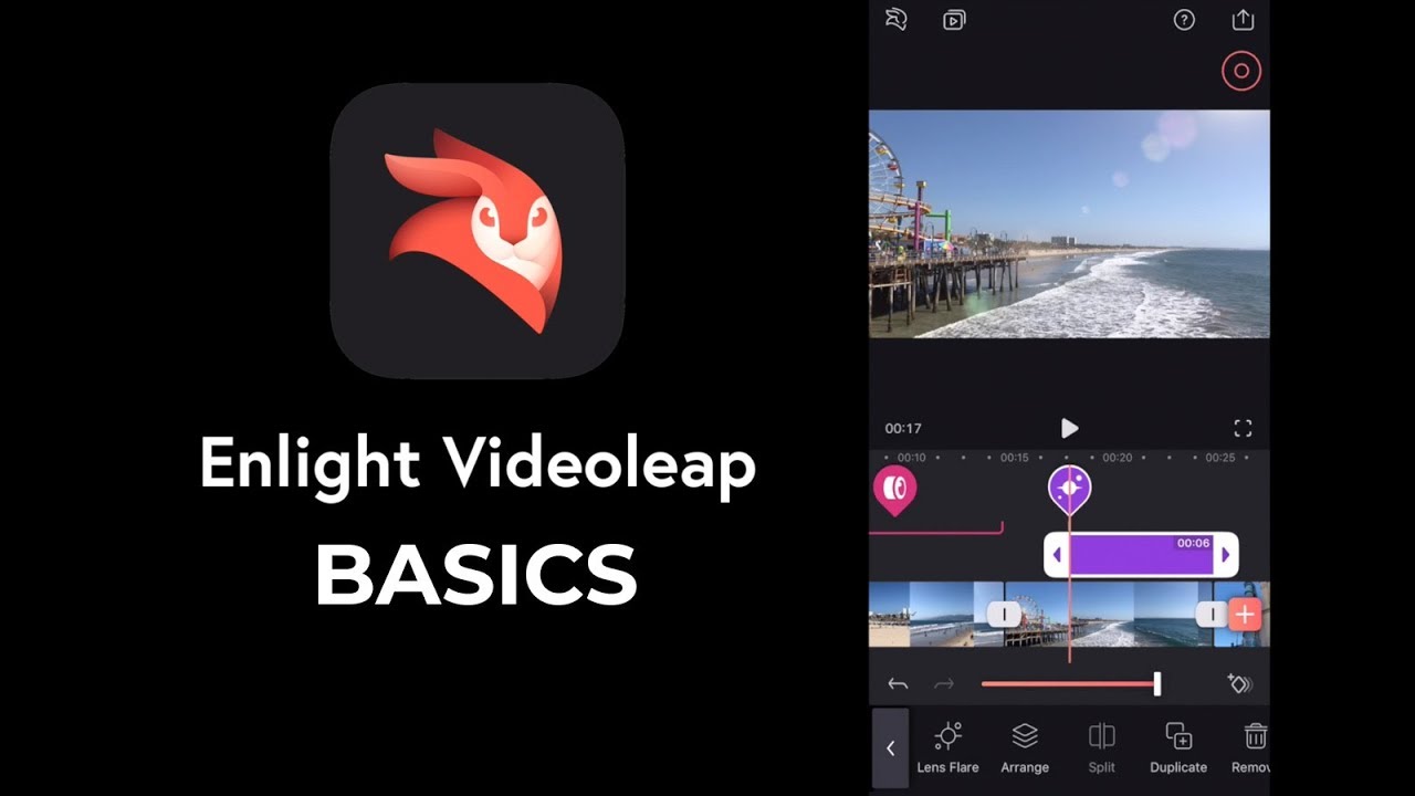 enlight video leap for mac